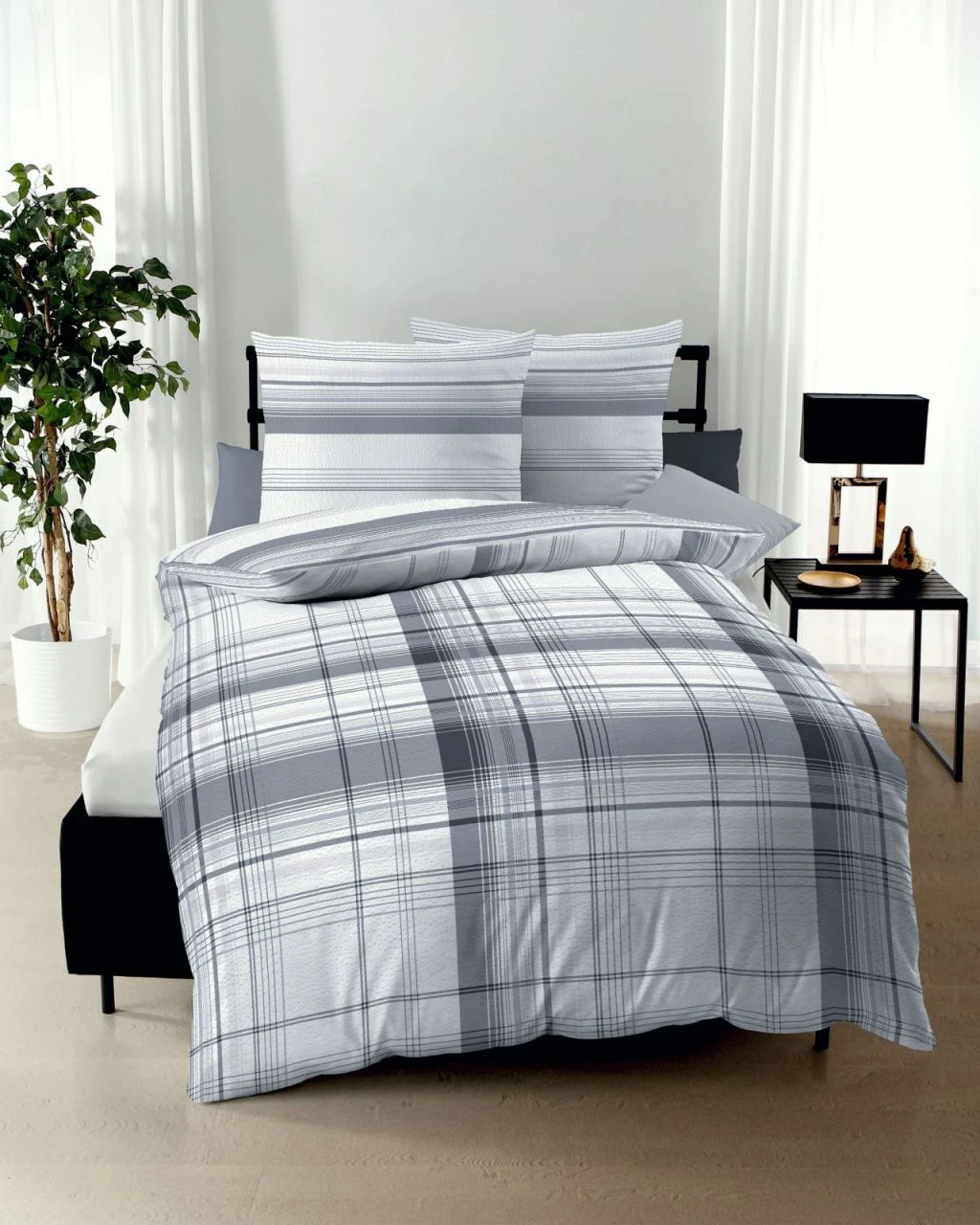 Facile 464 2 Facile 464 – Bild 2