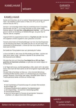 Kopfkissen Kamelhaar, KbA 5 Kopfkissen Kamelhaar, KbA -Schlafzimmerhausladen Garanta Kamelhaar WissenuENwZVVejJ7WM 1280x1280