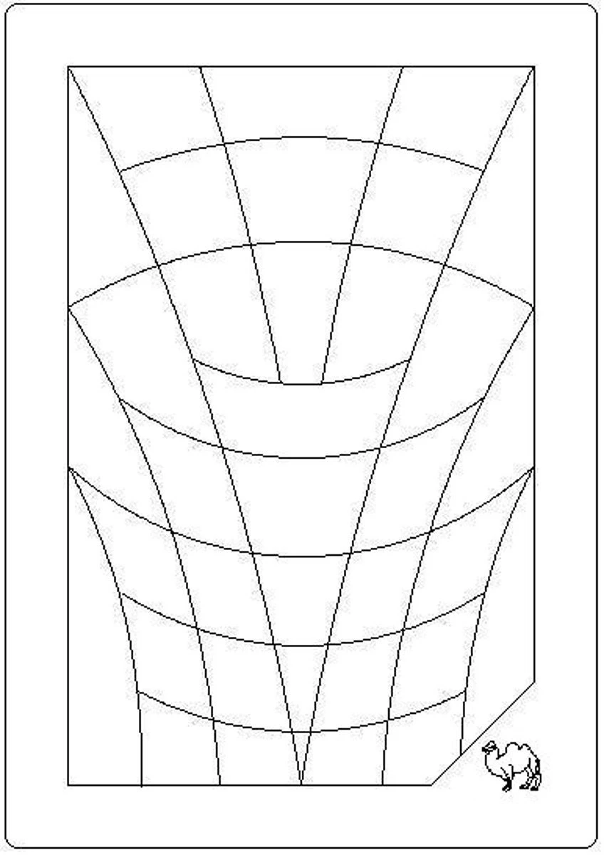 Pure Camel Ganzjahresdecke Light 2 Pure Camel Ganzjahresdecke Light – Bild 2