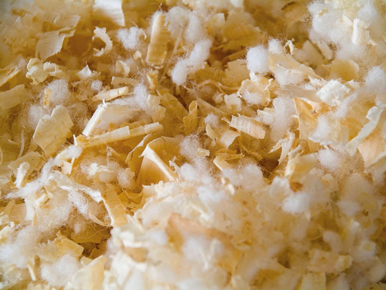 Zirbe Seitenschläferkissen 3 Zirbe Seitenschläferkissen – Bild 3