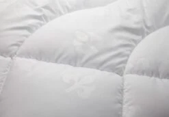 Lotte Kissen 6 Lotte Kissen -Schlafzimmerhausladen Irisette Detail Lotte Mono kleinFvE4kRlwlEo4G 1280x1280