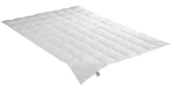 Daunensteppbett Edda Leicht