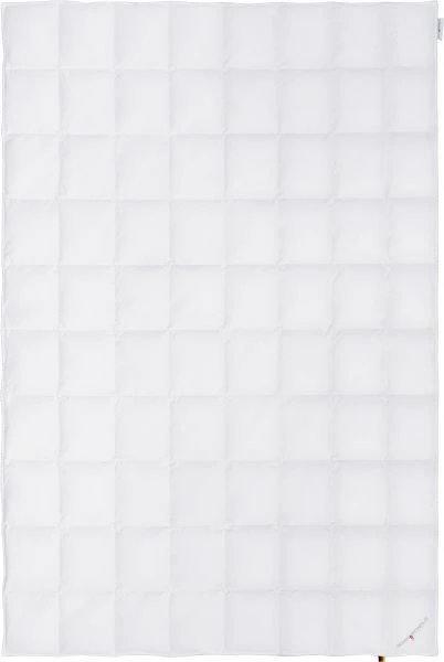 Elisa Light 1 Elisa Light