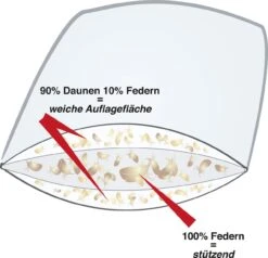 Kissen Alaska, Extra Soft - Biobasiert -Schlafzimmerhausladen Querschnitt 3K KK 100FkvpvPDzNtmn0O 1280x1280