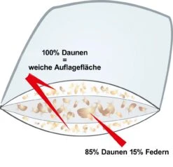 Kissen Island, Extra Soft - Biobasiert 11 Kissen Island, Extra Soft - Biobasiert -Schlafzimmerhausladen Querschnitt 3K KK 100FmOhhbC62cQn5c 1280x1280