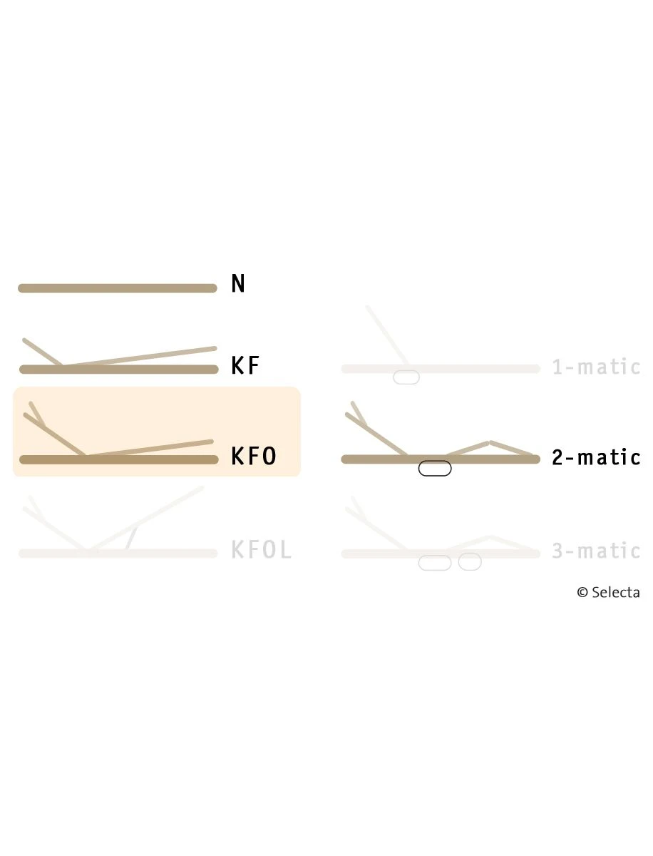 Selecta Lattenrost Einlegerahmen FR5, Ausführung KFO 3 Selecta Lattenrost Einlegerahmen FR5, Ausführung KFO – Bild 3