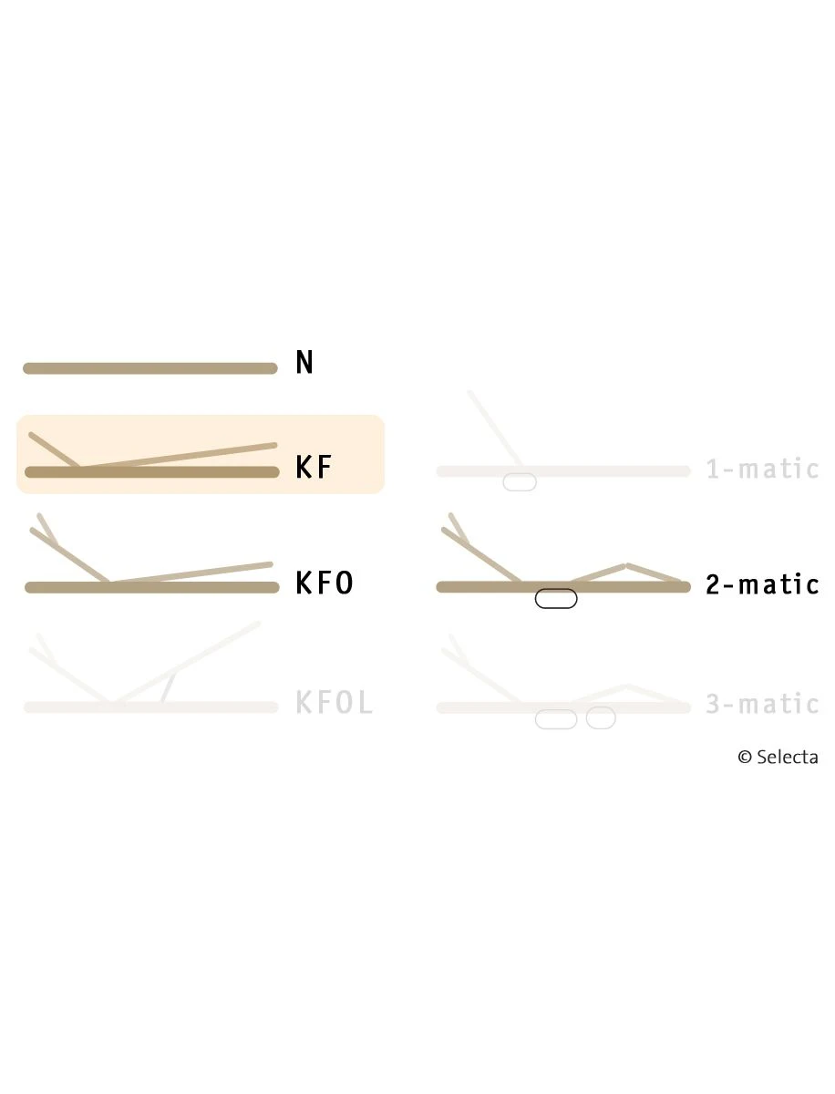 Selecta Lattenrost Einlegerahmen FR5, Ausführung KF 3 Selecta Lattenrost Einlegerahmen FR5, Ausführung KF – Bild 3