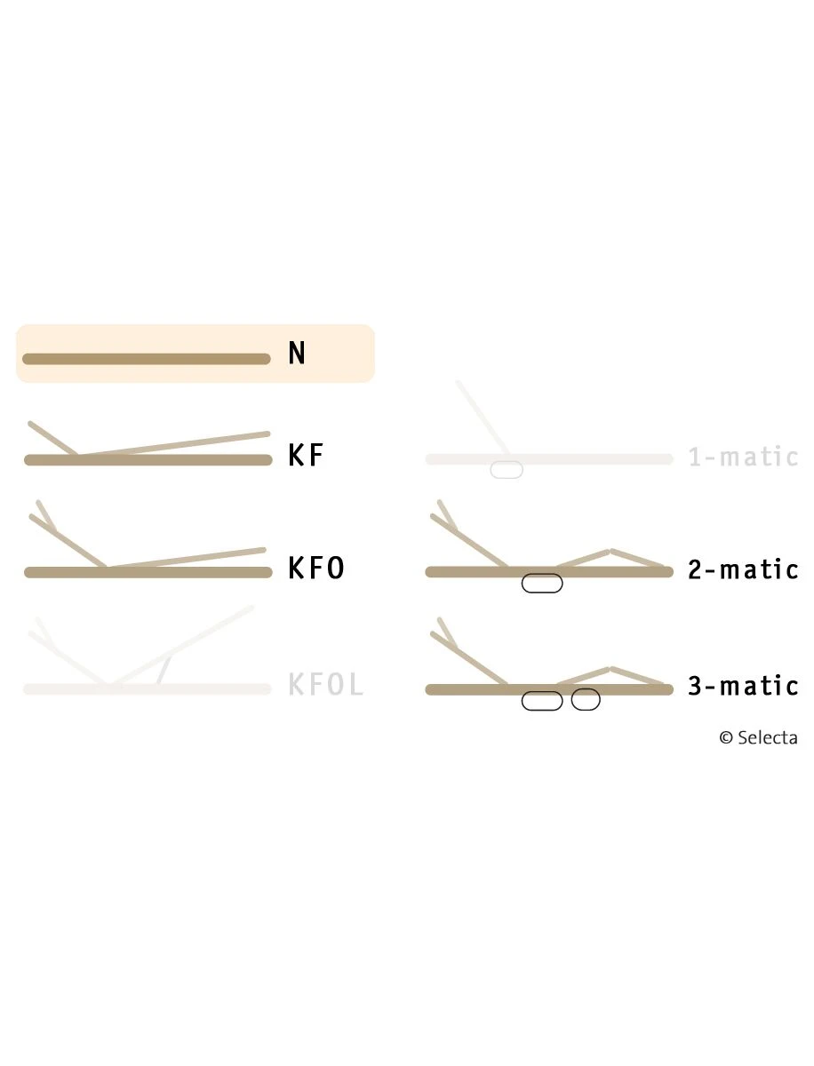 Selecta Lattenrost Einlegerahmen FR6, Ausführung N 3 Selecta Lattenrost Einlegerahmen FR6, Ausführung N – Bild 3