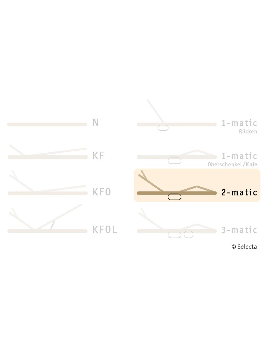 Selecta Lattenrost Einlegerahmen FR7, Ausführung 2-Matic 4 Selecta Lattenrost Einlegerahmen FR7, Ausführung 2-Matic – Bild 4