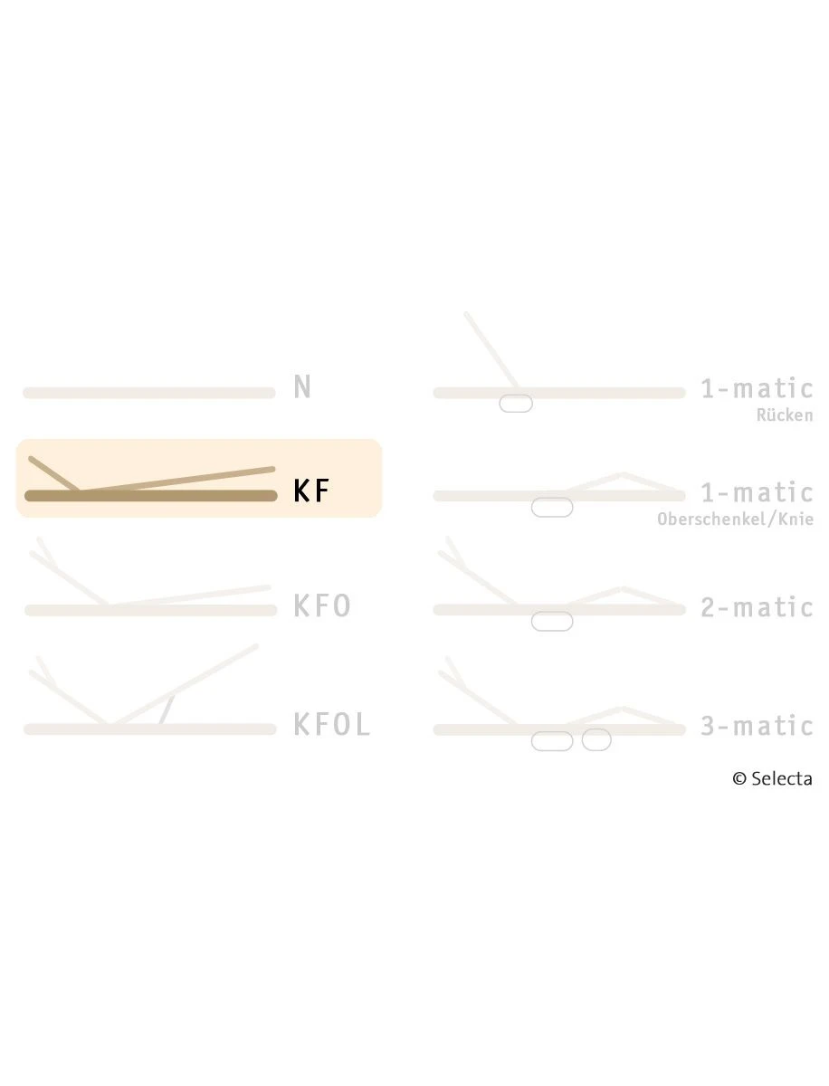 Selecta Lattenrost Einlegerahmen FR7, Ausführung KF 2 Selecta Lattenrost Einlegerahmen FR7, Ausführung KF – Bild 2