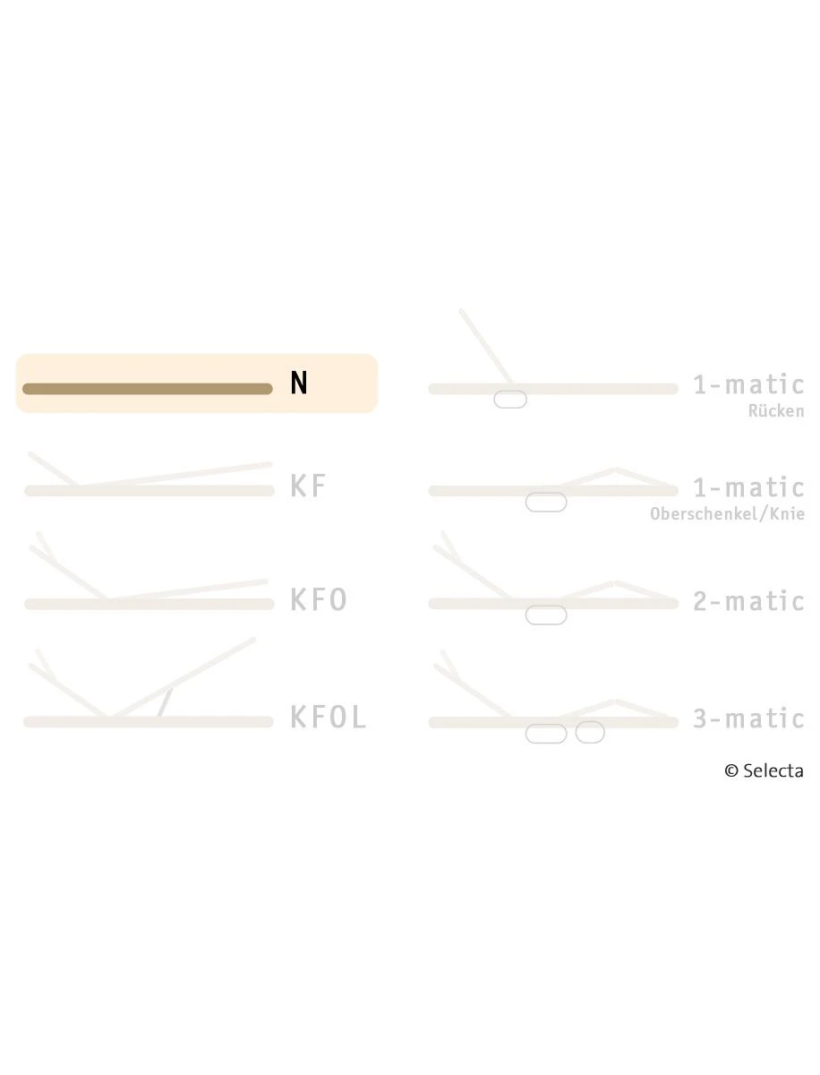 Selecta Lattenrost Einlegerahmen FR7, Ausführung N 4 Selecta Lattenrost Einlegerahmen FR7, Ausführung N – Bild 4
