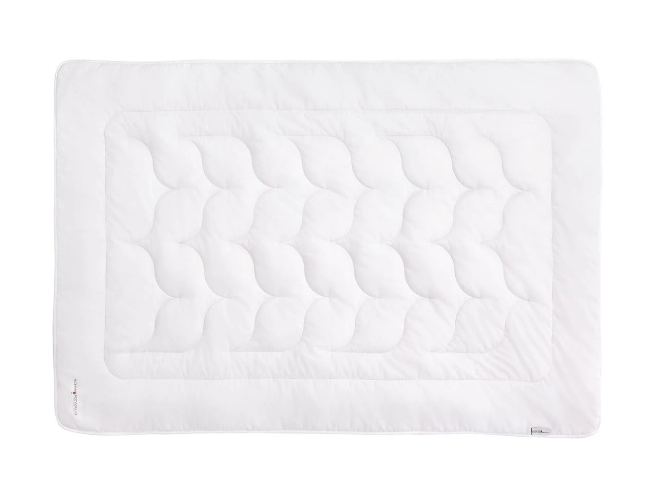 Selma Mono 2 Selma Mono – Bild 2