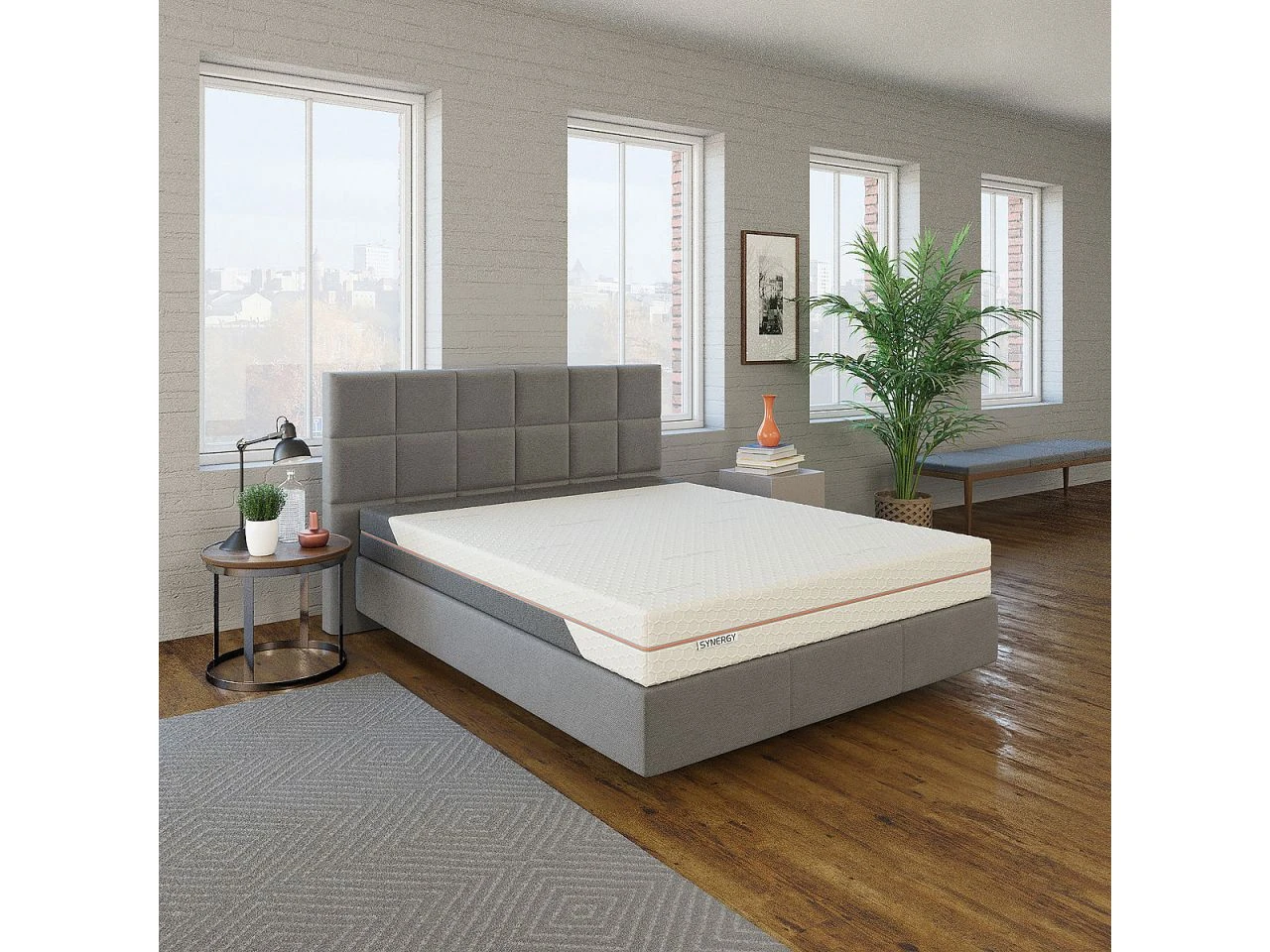 MSA Synergy 4 MSA Synergy – Bild 4