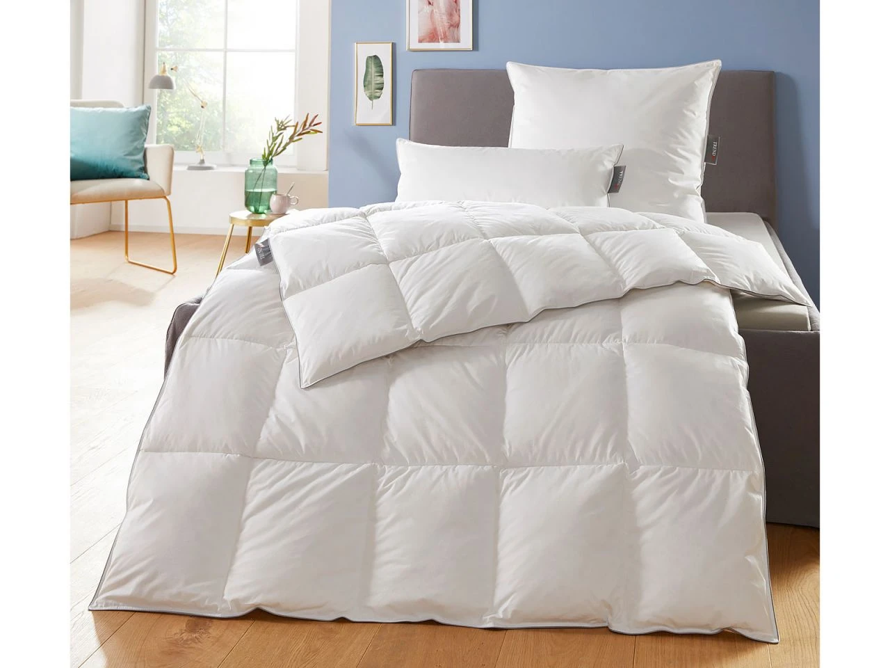 Trendline Daune Comfort Medium 2 Trendline Daune Comfort Medium – Bild 2