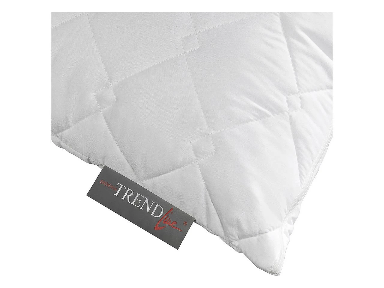 Trendline Micro Kochfest 4 Trendline Micro Kochfest – Bild 4