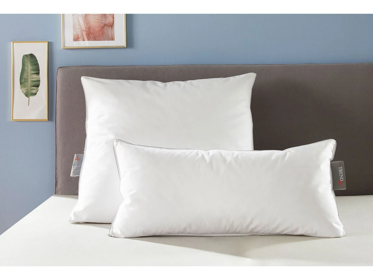 Trendline Princess 1 Trendline Princess