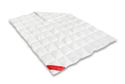 Trendline Princess Leicht