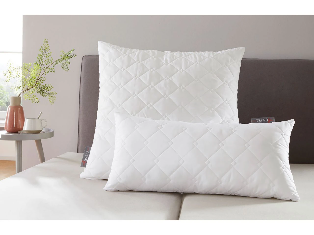 Trendline Micro Kochfest 1 Trendline Micro Kochfest