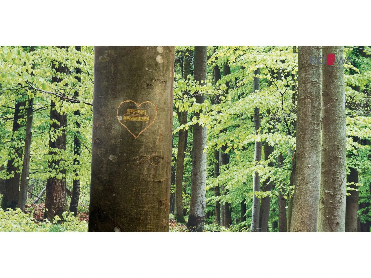 Selecta Lattenrost Einlegerahmen FR7, Ausführung KF 5 Selecta Lattenrost Einlegerahmen FR7, Ausführung KF – Bild 5