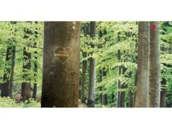 RÖWA Lattenrost Basic Komfort 2-Matic 9 RÖWA Lattenrost Basic Komfort 2-Matic -Schlafzimmerhausladen buchenwald mit herz mit Logoe0ezAw7HEpuVv 1280x1280