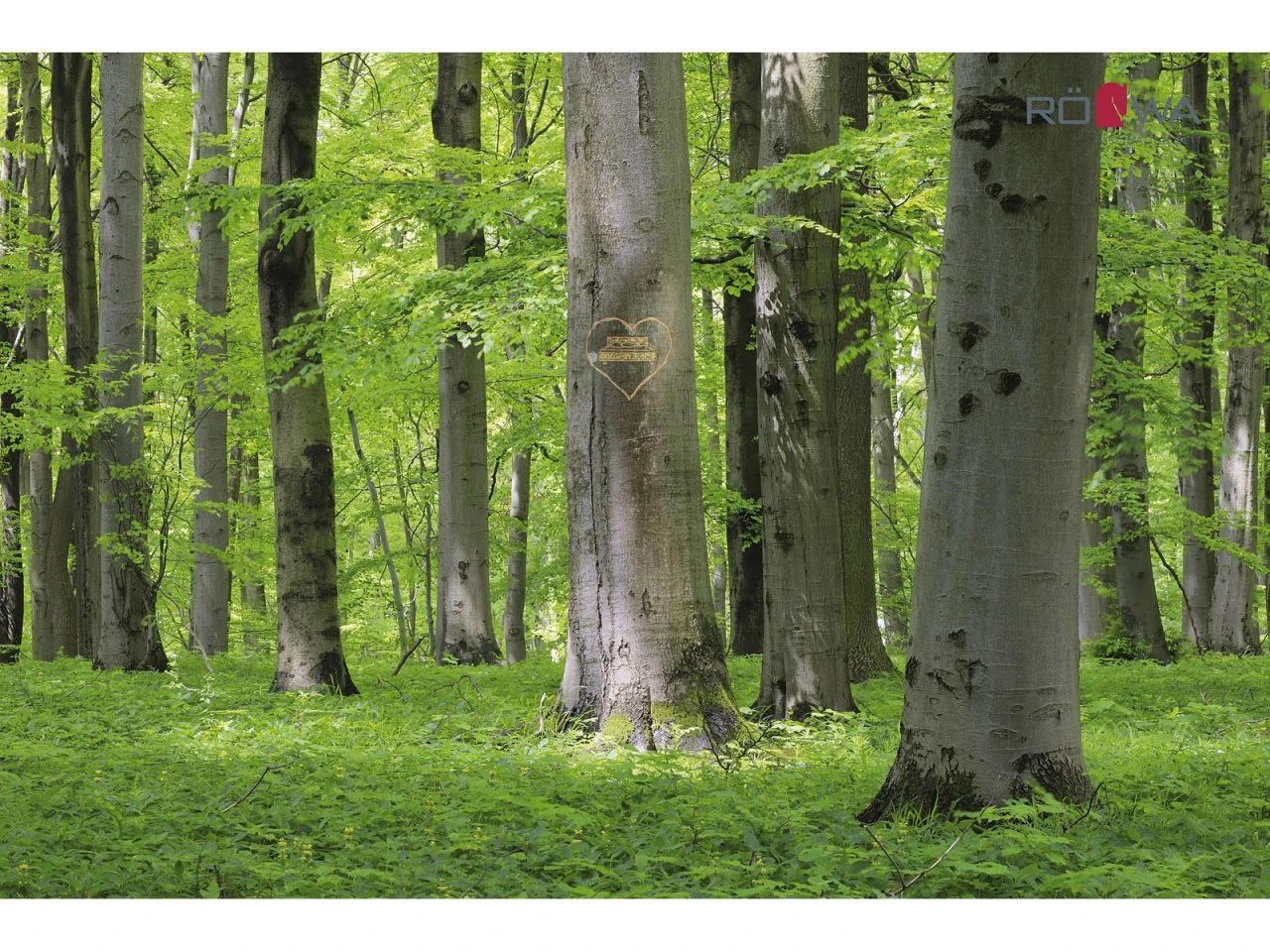 RÖWA Lattenrost Basic Komfort 1-Matic 5 RÖWA Lattenrost Basic Komfort 1-Matic – Bild 5