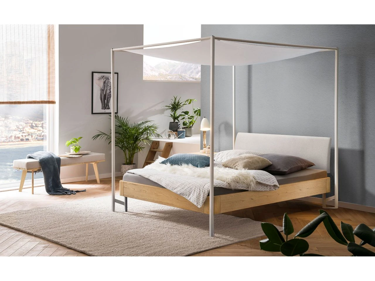 Fine-Line Cielo-Ron Baldachin 1 Fine-Line Cielo-Ron Baldachin